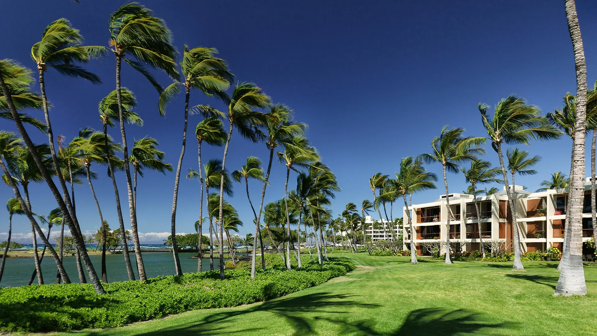 Mauna Lani Terrace Condominium プアコ